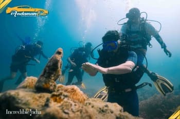 Scuba Diving