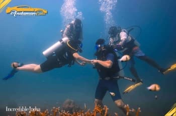 Shore Scuba Diving at North Bay Coral Island