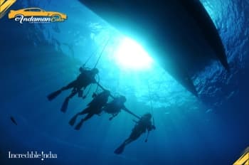 Boat Scuba Diving at North Bay Coral Island