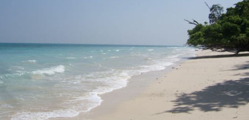 Andaman Delight