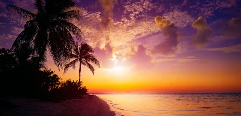 Emerald Andaman