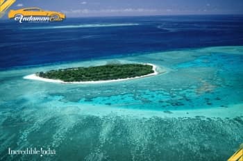 Avis Island 