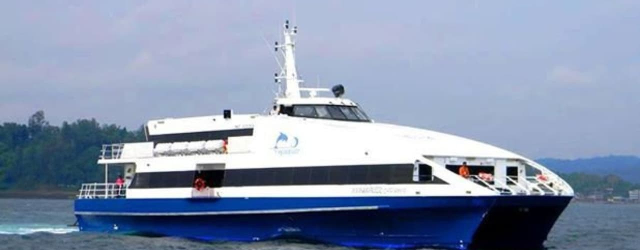 Makruzz Cruise